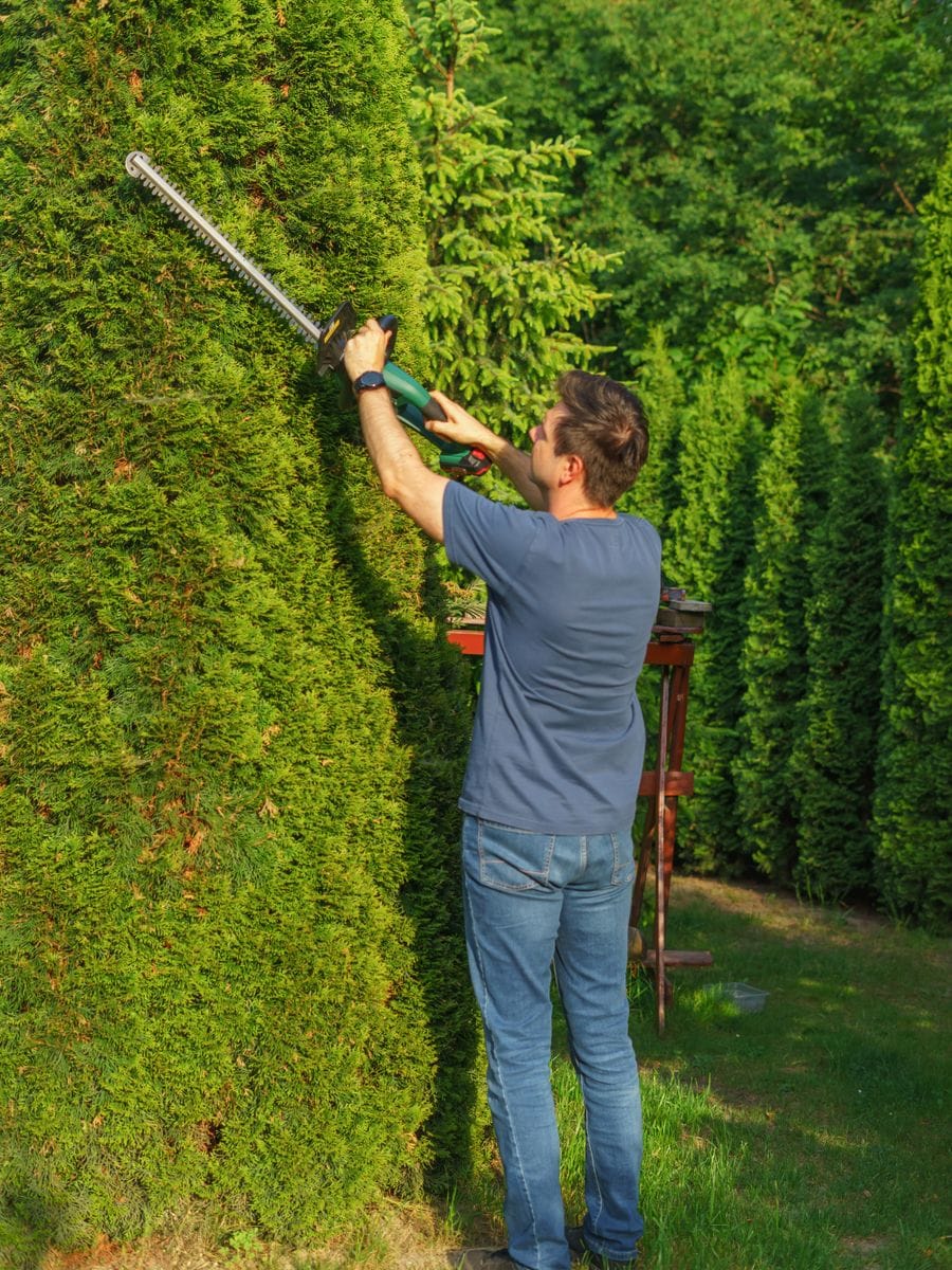 Landscaper laying out a new garden, photographed for a landscaping website