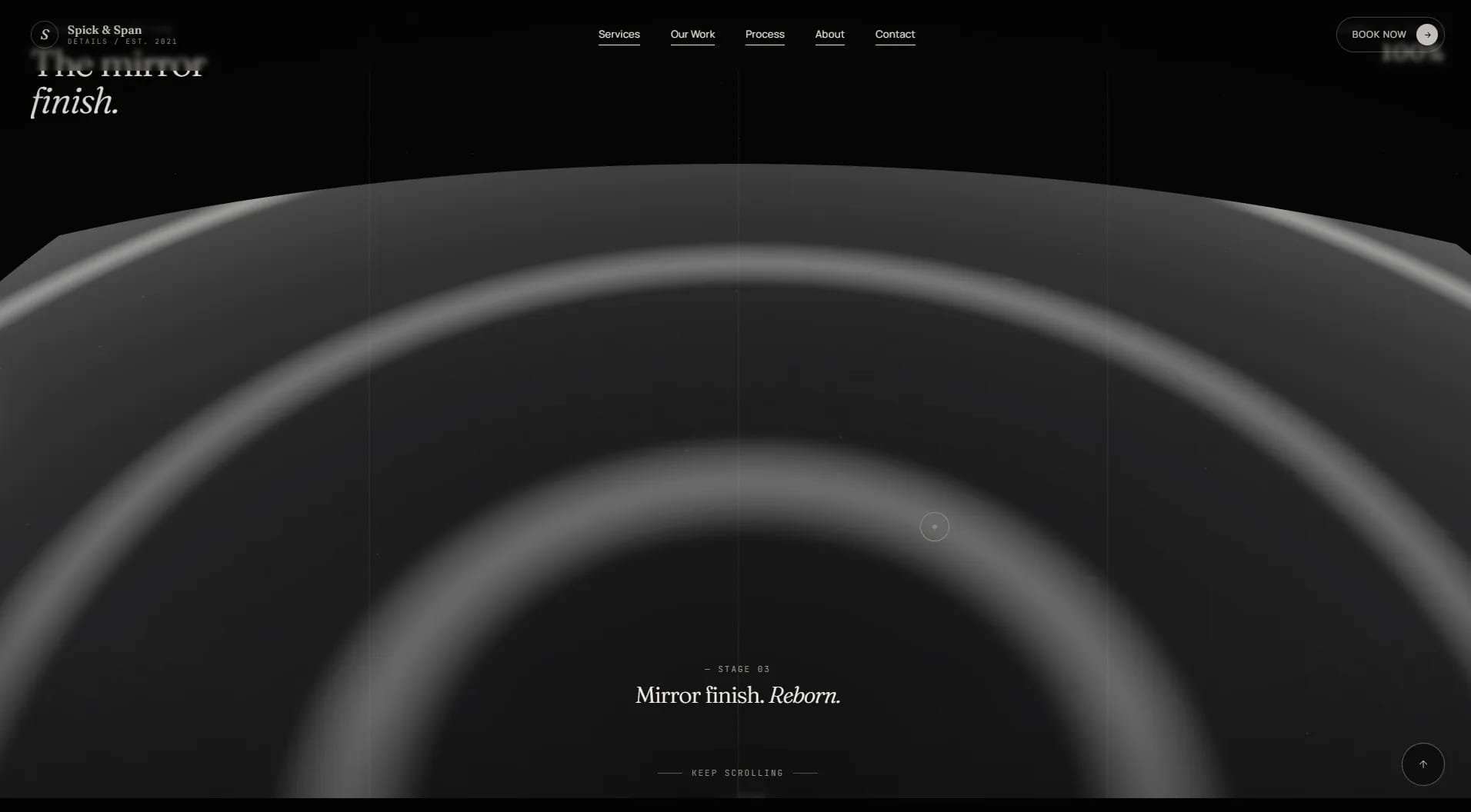 Spick & Span Details website — screen 5